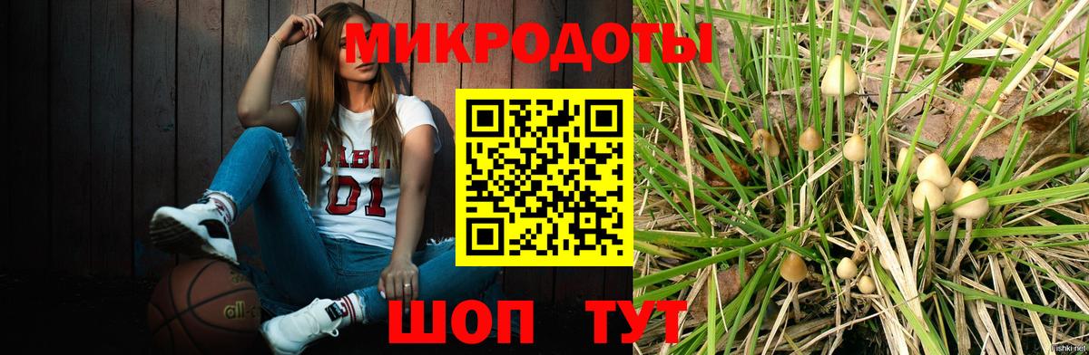 Псилоцибиновые грибы Psilocybine cubensis Клин